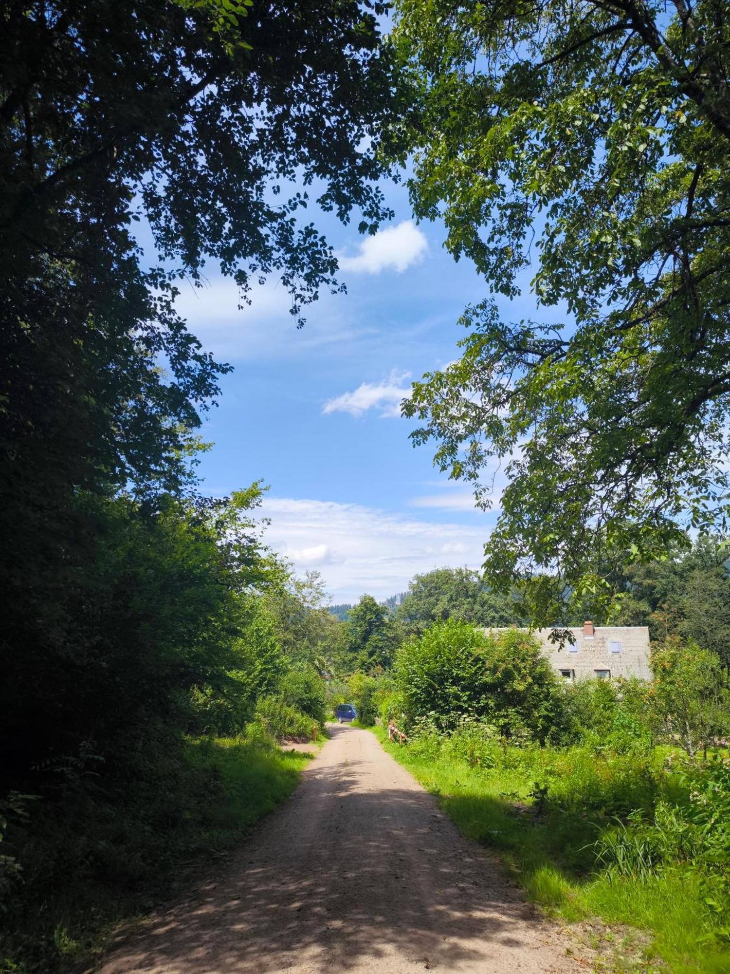 Hostel Waldblick 弗赖堡 外观 照片